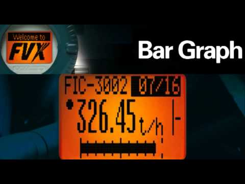 Field Mount Indicators:  FVX110 Fieldbus Segment Indicator: Display Features