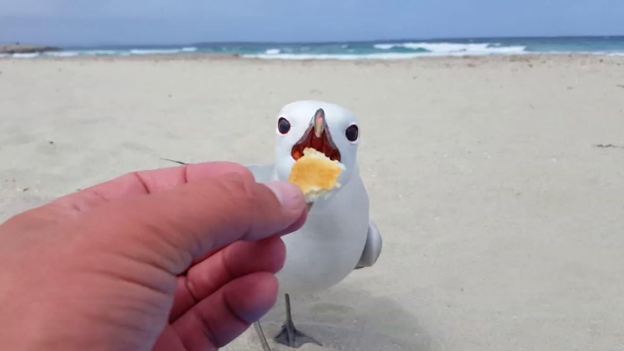 Formentera im Winter 2016/2017