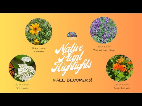 Native Plant Highlights:
