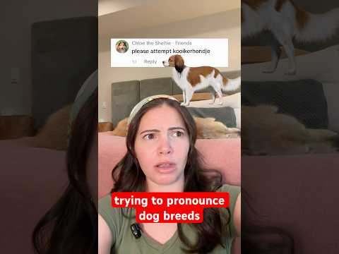please correct me if I’m still getting them wrong 😭 #mispronounced #dogbreeds