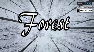 Forest Day12 / Astro X5 Johnny Edition Fpvfreestyle / Gopro7 / Kwad730
