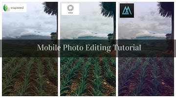 [Mobile Photo Editing] Snapseed.VSCO.Mextures