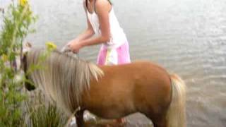 P1050721.wmv