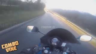 Combo Vine #44