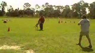 appda courage test entry ,ppd