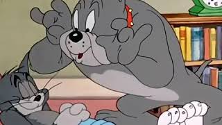 Momentos Mais Fofos - Tom And Jerry