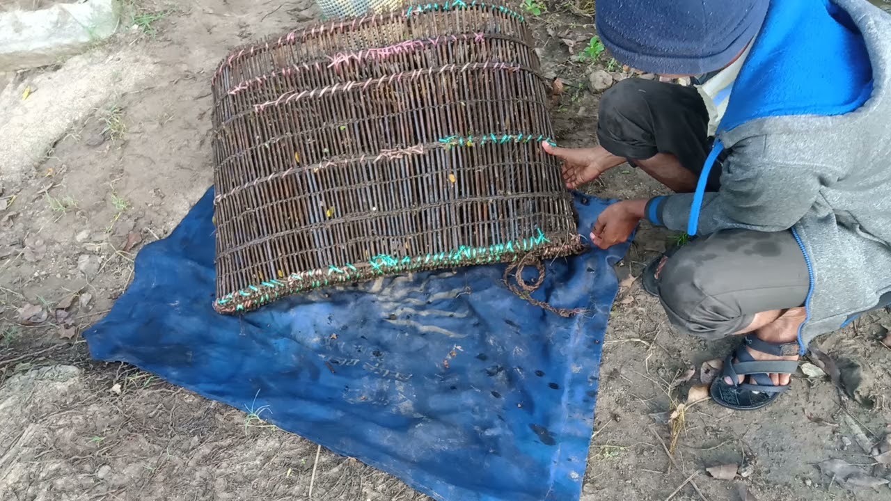 fish trap bamboo net fish traps moongil pari meen pedithal