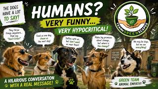 Why Do Humans Act So Strange? | A Funny Conversation Between Dogs | Project Greenspark