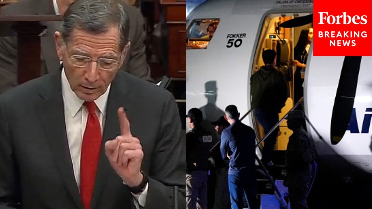 John Barrasso Praises Trump's 'Bold' Border Policies, Lists Examples Of Migrants Being Deported
