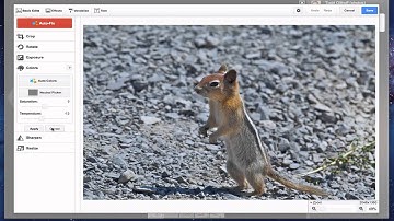 Google+ Part 3: Uploading & Sharing Photos