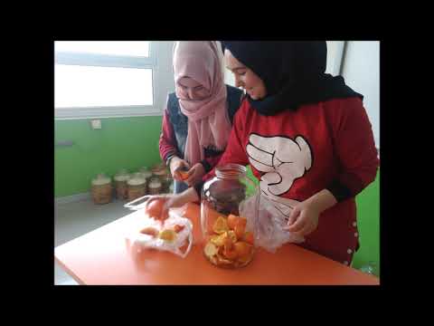 TE- SİR GençBizz