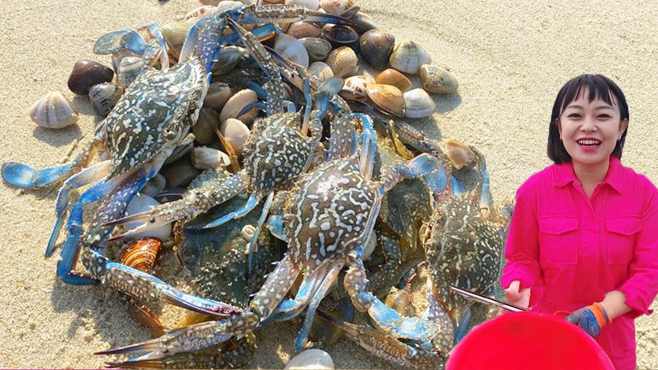 [Английский суб] Сяочжан бросился в море. После отлива на пирсе было много крабов. Когда вы открыли