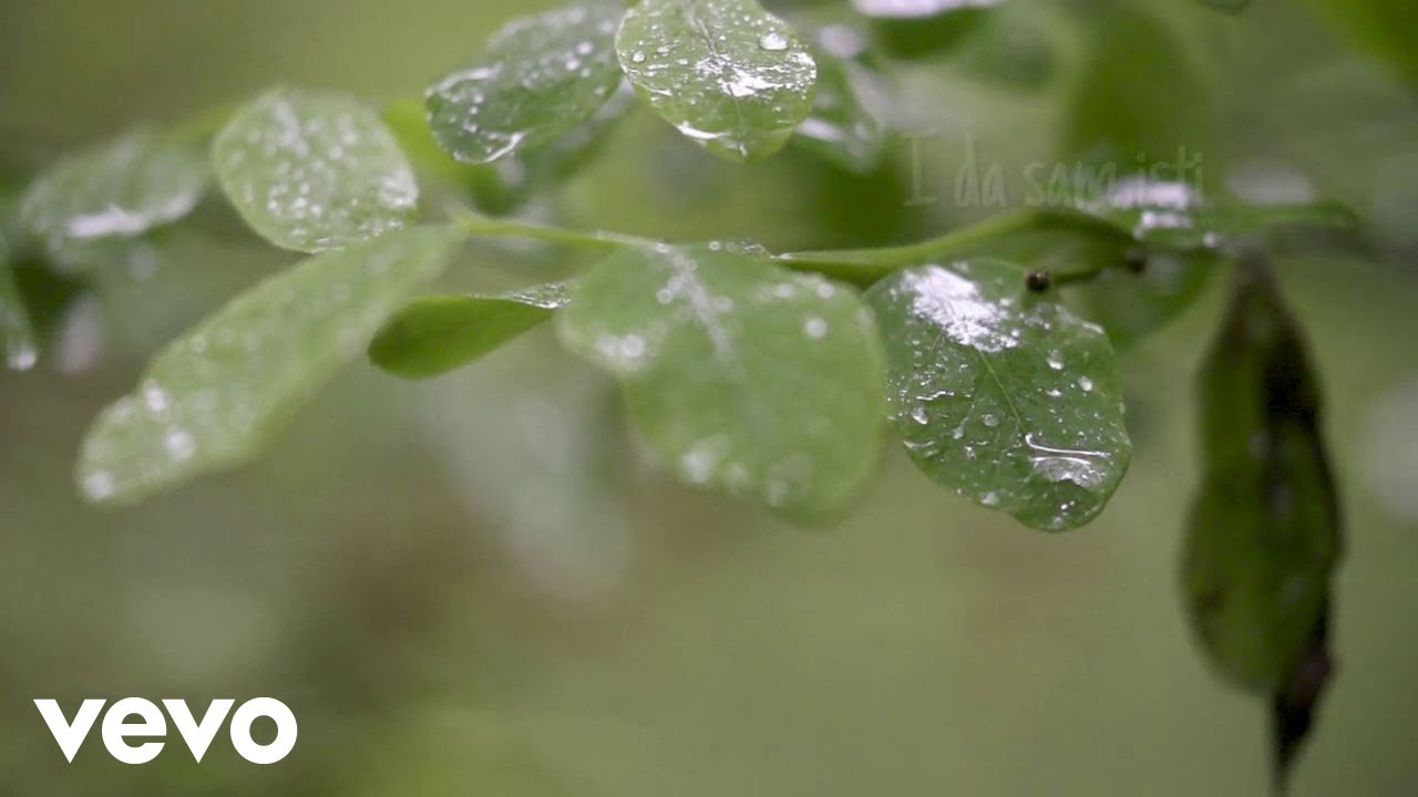 Vice Vukov - Pismo Ćali