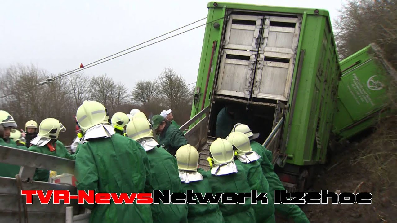 Schweinetransporter verunglückt auf der A 23