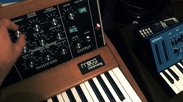 Moog Minimoog Model D and Maschine mikro house music jam.