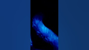 Loop Loop 😆 || #funny #trending #viral #loop #loops #looping #loopkit #loopvideo #loopsinjava