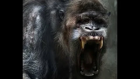 World Bigfoot Radio #60 ~ Wendigo and Gugwe, North...