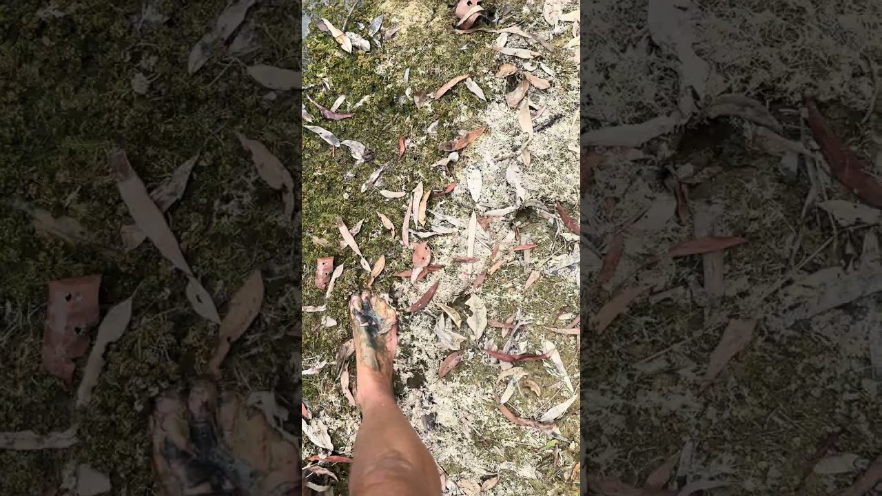Feet in squishy muddy pond mud 