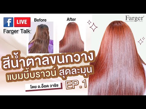 สีน้ำตาลขนกวาง แบมบี้บราวน์ EP.1