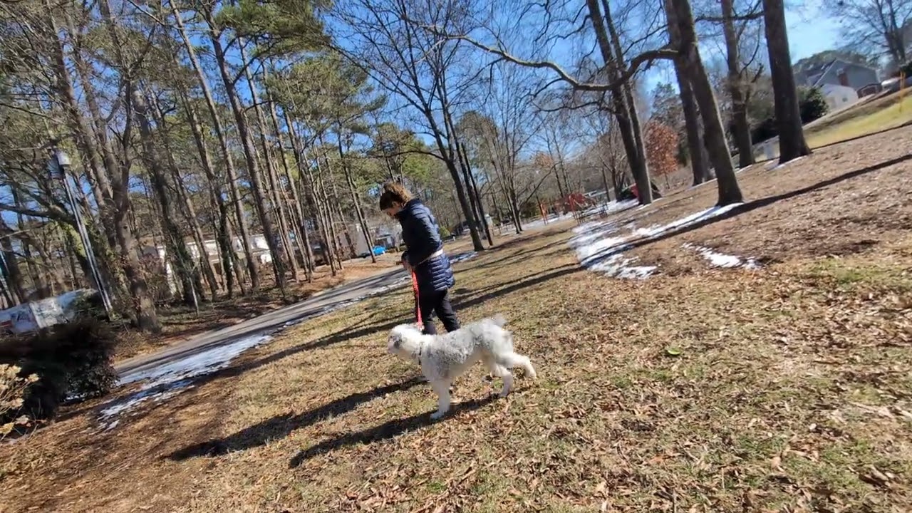 Талия в городском парке
