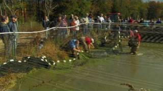 A Trip to Quality Koi Co at the Nisei Koi Farm