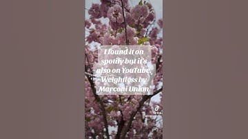 Thumbnail of Weightless by Marconi Union #motivation #breathe #anxiety #anxietyrelief #music #calm #calmmusic