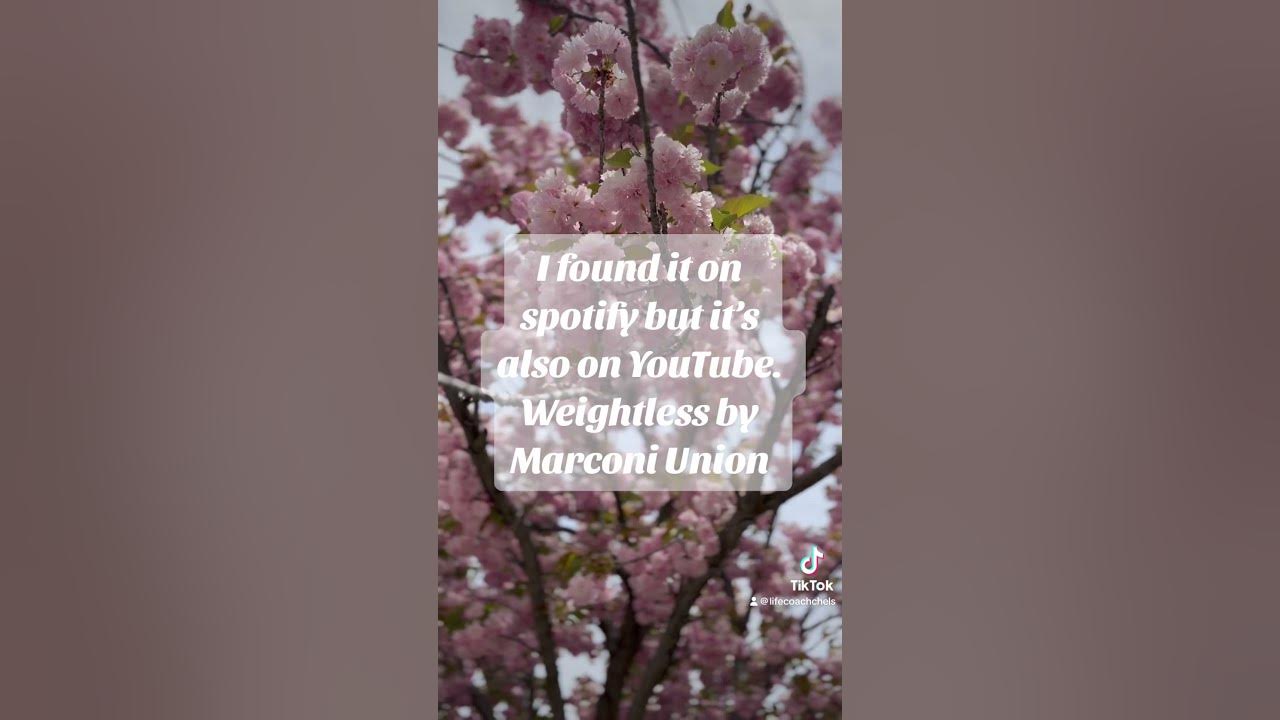 Weightless by Marconi Union #motivation #breathe #anxiety #anxietyrelief #music #calm #calmmusic