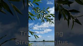 Mindset, clarity, noise-free #peace