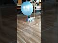 mobil mainan tenaga balon #mobilmainan #balon #kreasi #diy #craft