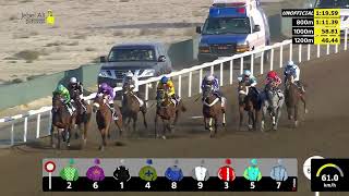Vidéo de la course PMU COMMERCIAL BANK OF DUBAI STAKES