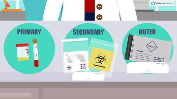 UN3373 : Biological Substances, Category B, Packaging Instructions P650 Compliance Overview