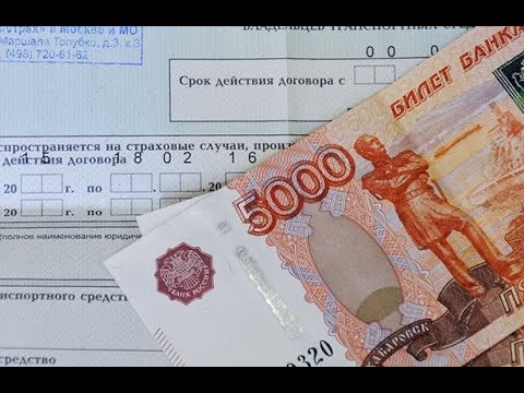 Российское осаго в беларуси