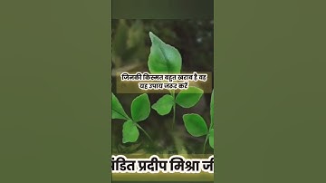 किस्मत बहुत खराब है तो ये उपाय जरूर करें #shortvideo #pradeepjimishraupay #pradeepmishraji 🙏🏼🌺🍁🌿🌿🌿