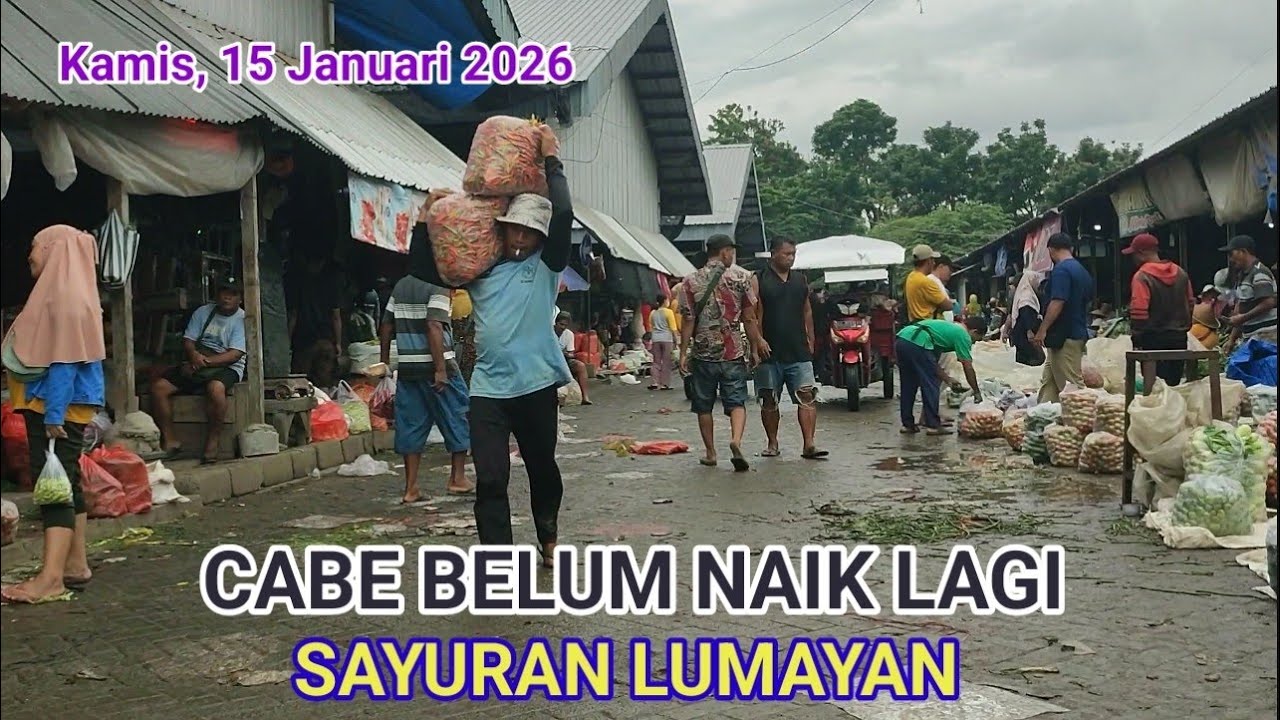 CABE MASIH LUMAYAN DI PASAR INDUK PARE KEDIRI 