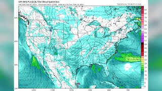 Stratospheric waves and polar vortex