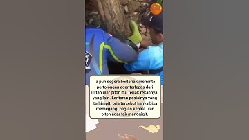 Lagi asyik mancing dililit ular piton⁉️#youtube #fyp #fresherinformasi