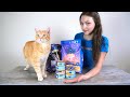 Blue Buffalo Cat Food Review