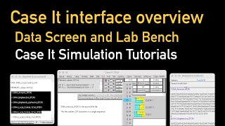 Overview of the Case It interface: Data Screen and Lab Bench screenshot 2