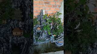 Hon Non Bo Van Quynh