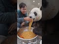 feeding my buddy #highlights #spicyfood  #mukbang #shorts