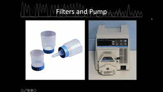 Environmental DNA eDNA for Detecting Aquatic Invasive Plants   1 13 21