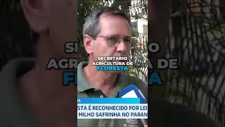 A Capital Do Milho Safrinha