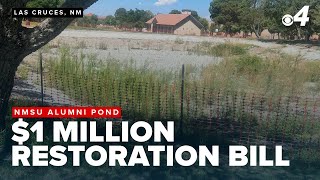 NMSU faces $1 million bill for alumni 'Duck' Pond rebuild, students push for restoration
