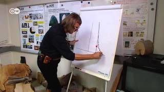 Vorbild Baum | Projekt Zukunft