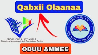 Bu'aa Qormaata Kutaa 12ffaa Bara 2017 Ifoomee Jiraa | Oduu Ammee @sabaaftip  screenshot 2