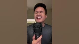 Here’s Your Perfect - Jamie Miller (Barsena Cover)