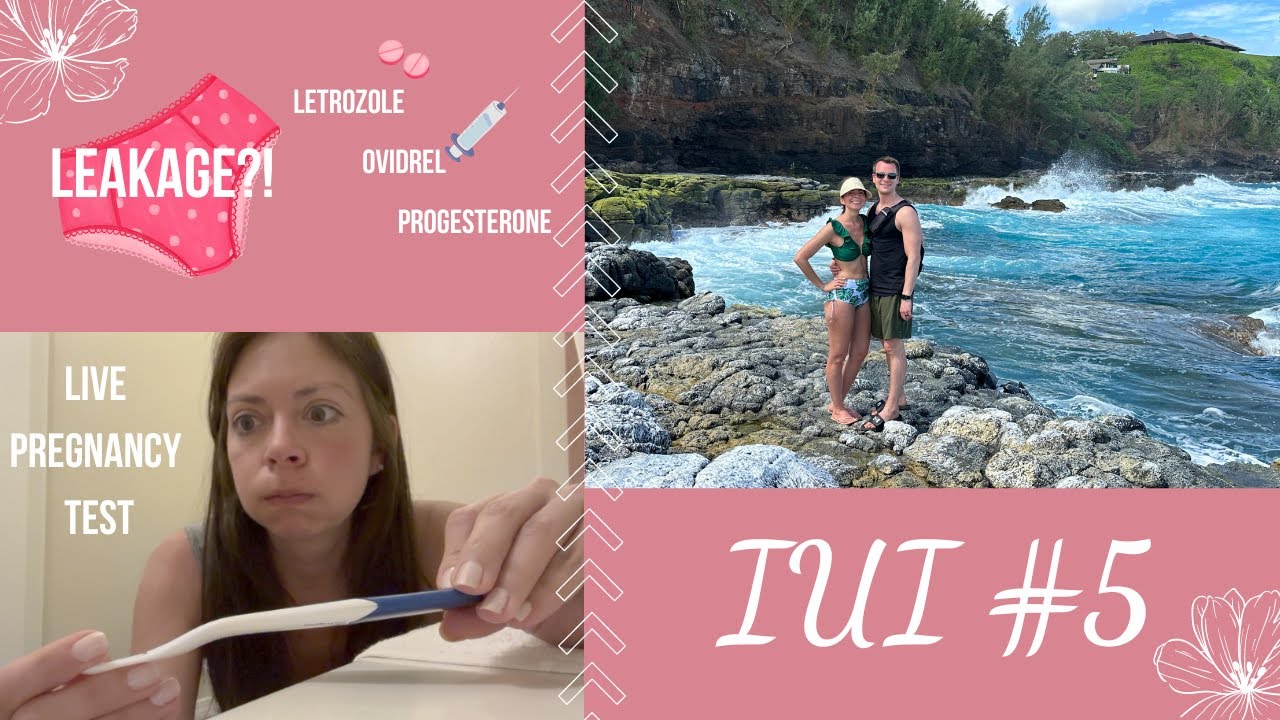 IUI #5 + Live Pregnancy Test In Hawaii | TTC | Unexplained Infertility