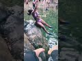 ElYunque RainForest RopeJump Funny Hilarious LetGo SheToxic TheToxicClinic PuertoRico 