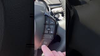 Solterra interior