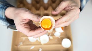 What Happens To Eggs If You Leave Them In Fridge For One Year